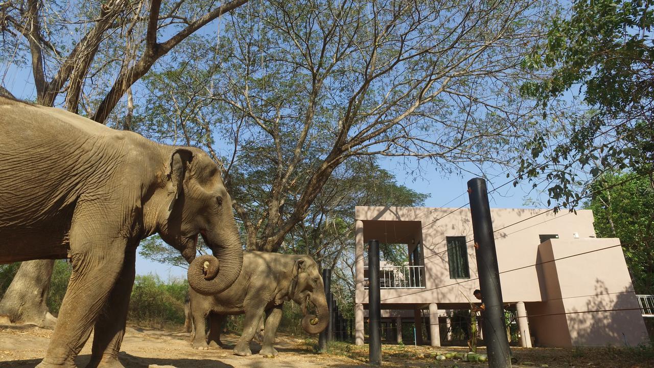 I Love Phants Lodge Ban Huai Thawai Exterior photo